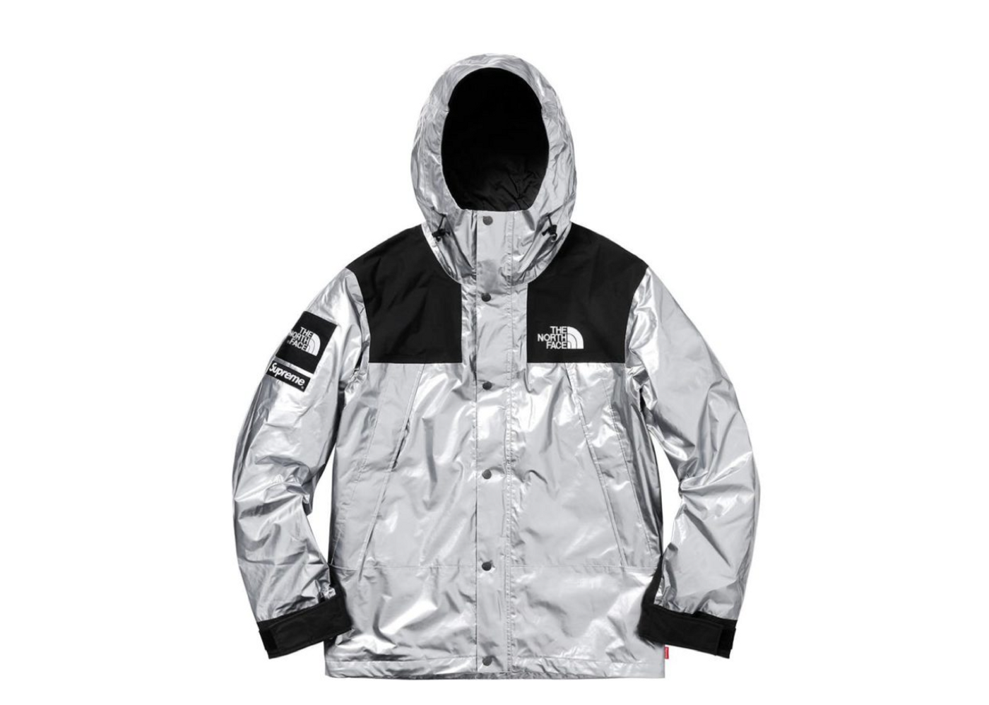 Supreme x the north deals face metallic mountain parka