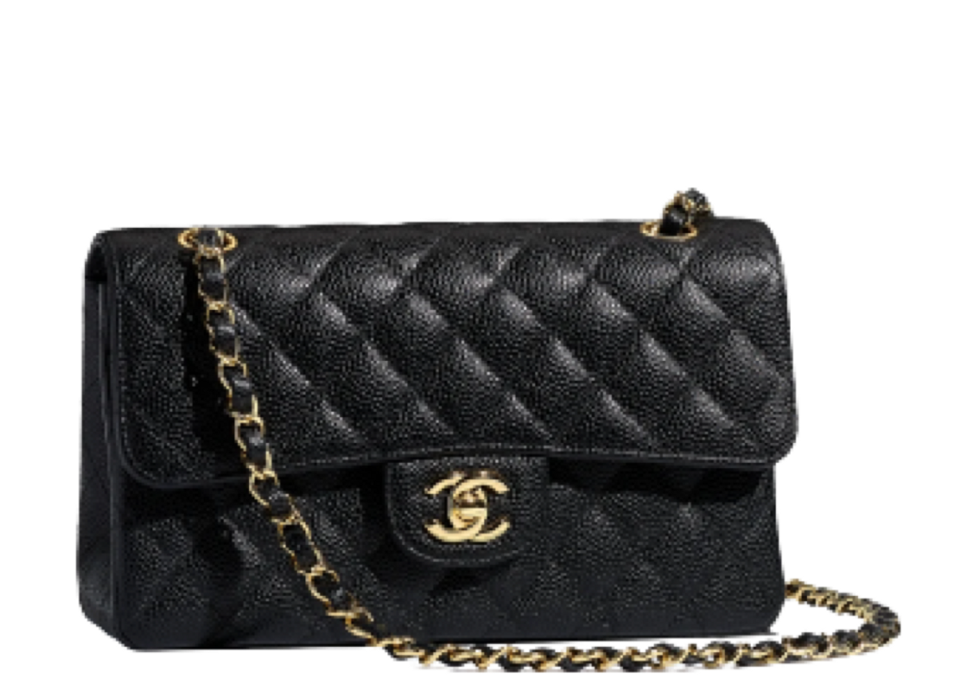 www chanel handbags com