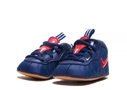 Nike Air Foamposite Pro Dark Obsidian Shoe Review and ...