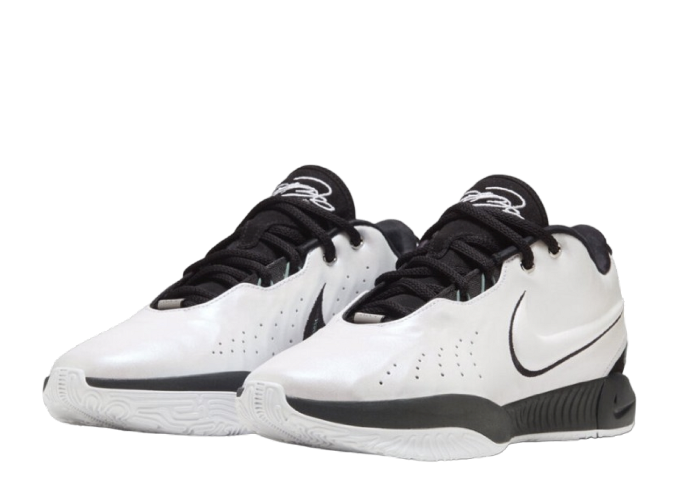 NIKE ナイキ LeBron XXI Conchiolin EP レブロン 21